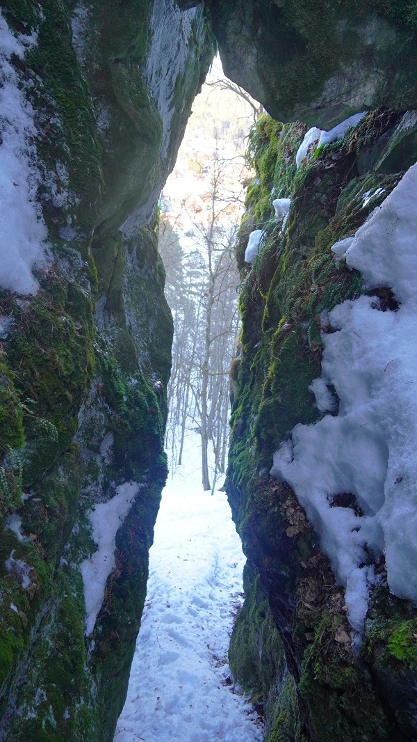 ��������������������� ����������� �������: ������������ ������� � ������ �� ���� ��. ����: ������ ��������� 