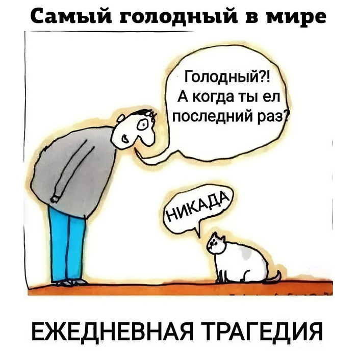 <!--noindex--><a href="https://pikabu.ru/story/tragediya_13820072?u=https%3A%2F%2Ft.me%2Fpismezo%2F749&t=https%3A%2F%2Ft.me%2Fpismezo%2F749&h=8e0d4bf628ac55b755bf4e55025f1b099176e0a2" title="https://t.me/pismezo/749" target="_blank" rel="nofollow noopener">https://t.me/pismezo/749</a><!--/noindex-->