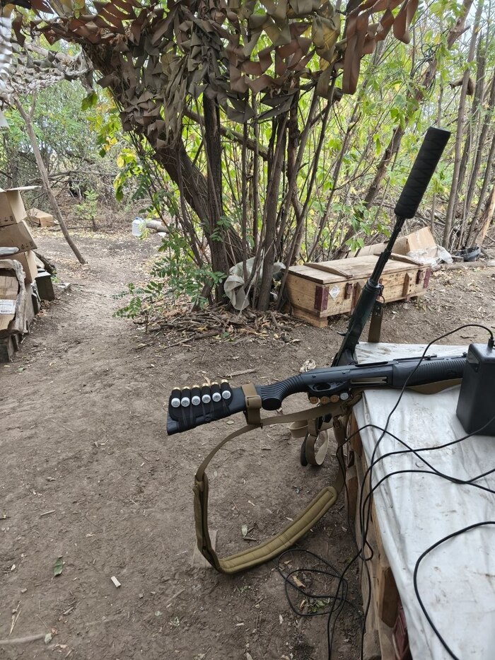 ������ ��������. 