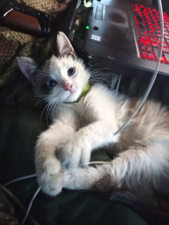 � ��� ���� ������ ������� ���� ����������? ��� ���? ��� �� ��...