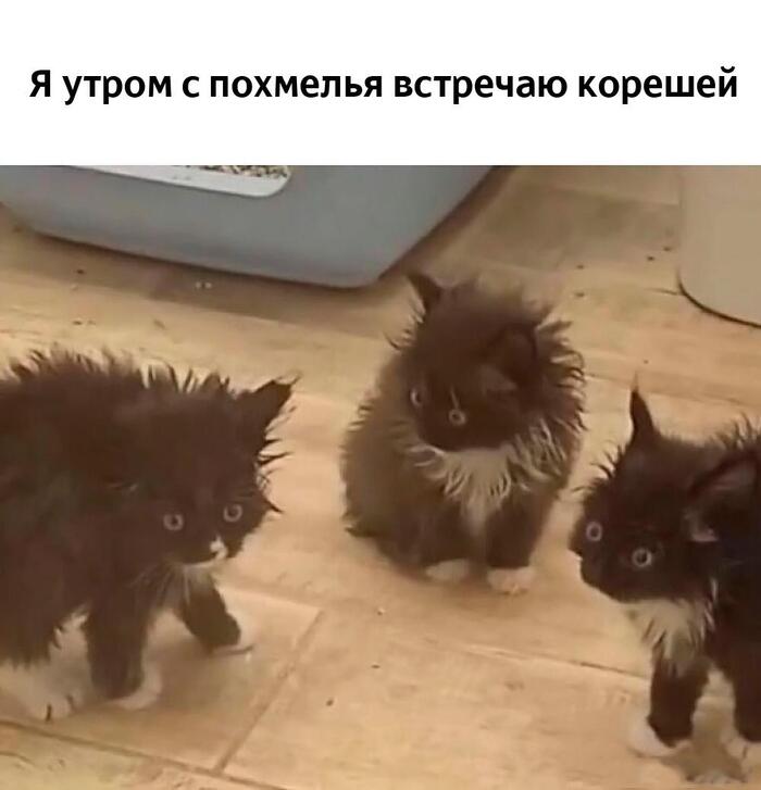 ������ ����� ��������
