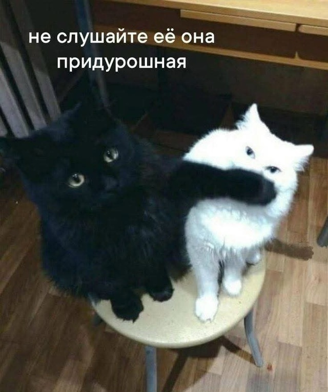 ����� � ������ ����� ������, � ��� �����- "��� ���, �� ������ ��� ������"