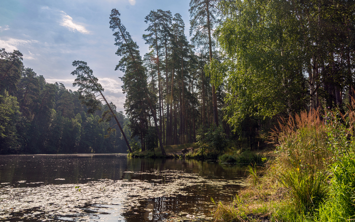 ������ �����