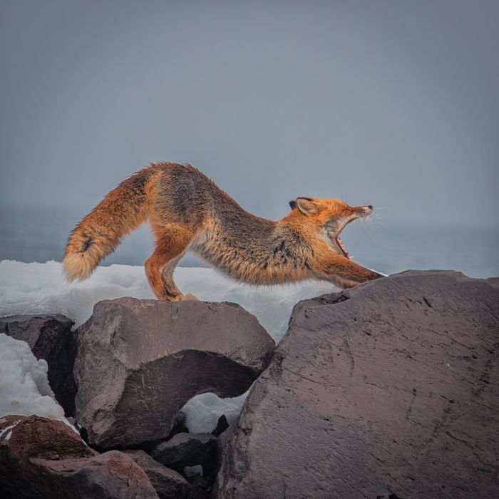 �� ������ ��������� ����