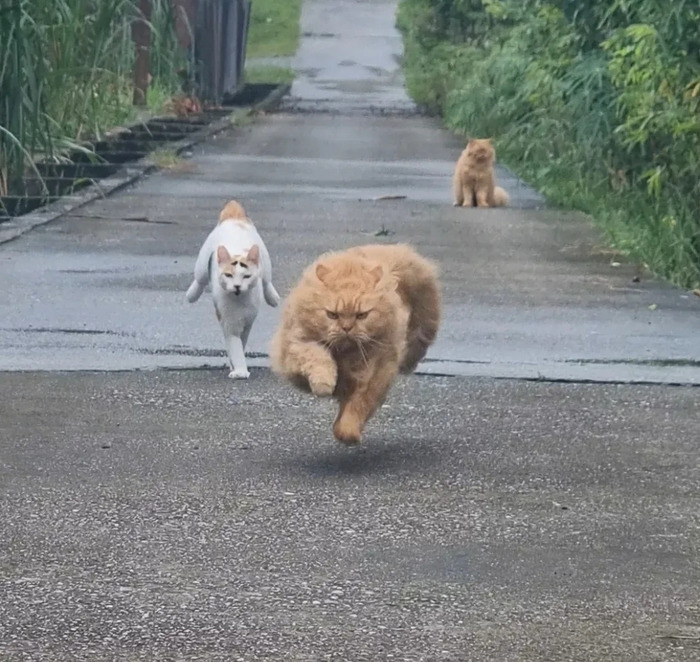 ������ �� ���!