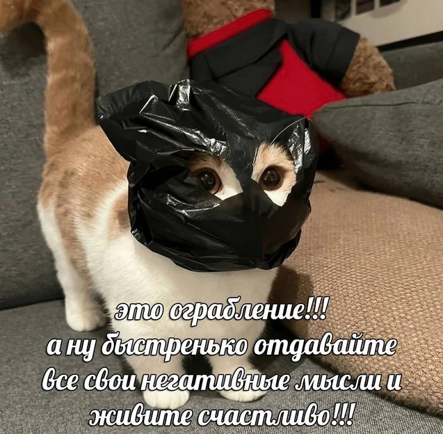 НЕГАТИВный вор)