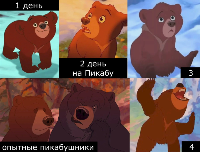 ������� �� ������ ������� ������� ������������