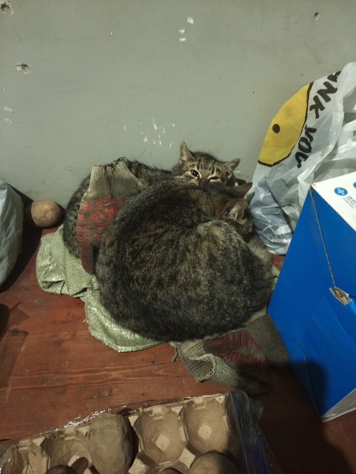 ��� ��� � ������ �����. ������ �����, � ���� �� ������. �� ��� ���� ������, ��������? ���� �� ���� ������, �� ���� �� ������������ ������� ������. ����� � ���, ������ ������. ��..������, �� ��������. ����� ��� ������. ���� �����.