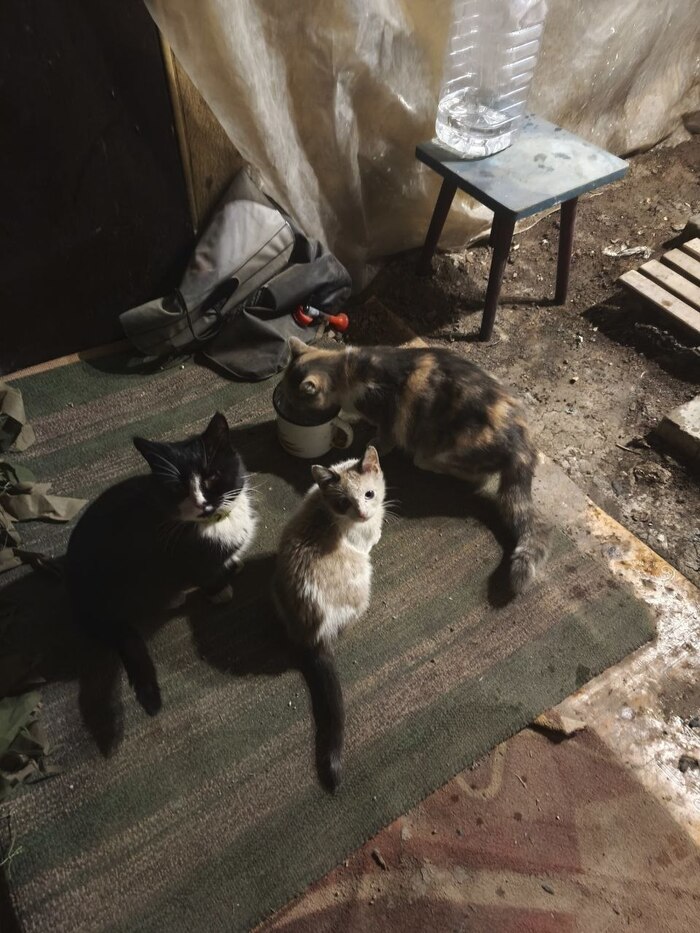 ������ ������ �� ����� �� �������. �������� ����, ����� ���� ���� ������ �������, ���� ����� ��� �������, ������ ������ ������� �� ��������. �� ���� ����� �����, � ������� �������, "�����" �� ��, ����������� ����� ����. 