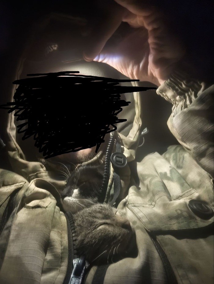 ��� ����������, �������� �� ��� �������, ���� ������ ��� �� "������� �������", � �� ���� ���� � ������ �������. ������ �������� ���� � �������� ������� ,������ ��� ���������. ���������� ��� �� ���� ����