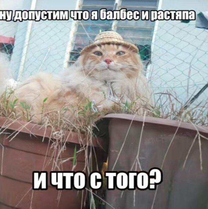 � ����� ����, ��� � ������� ��� �������� �� �� �� ������
