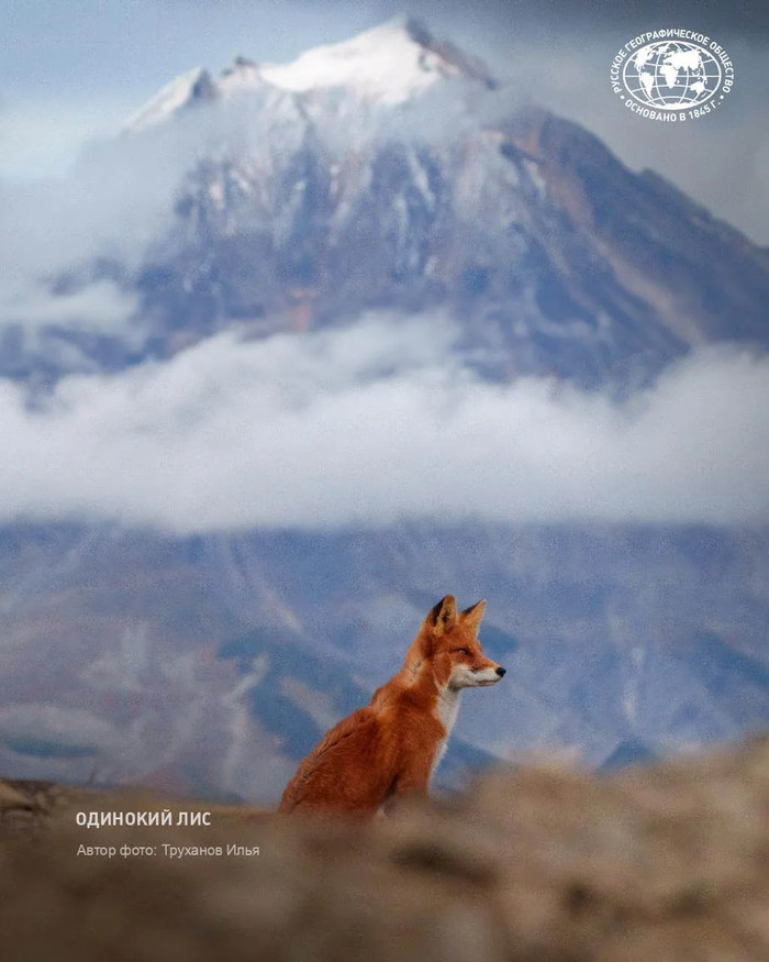 ����: �������� ����, �������� ������������ ������ �������� ������, <a href="https://pikabu.ru/story/odinokiy_lis_13826421?u=https%3A%2F%2Fmax.ru%2Frgo1845%2FAZ0ujEljUgk&t=%D0%BE%D1%82%D1%81%D1%8E%D0%B4%D0%B0&h=347518e99b32157697b8c8efc73f44e24a1860ea" title="https://max.ru/rgo1845/AZ0ujEljUgk" target="_blank" rel="nofollow noopener">������</a>