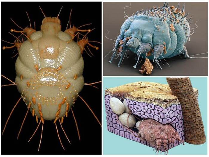 �� ������� ���� ��������� ����. ���������� ������