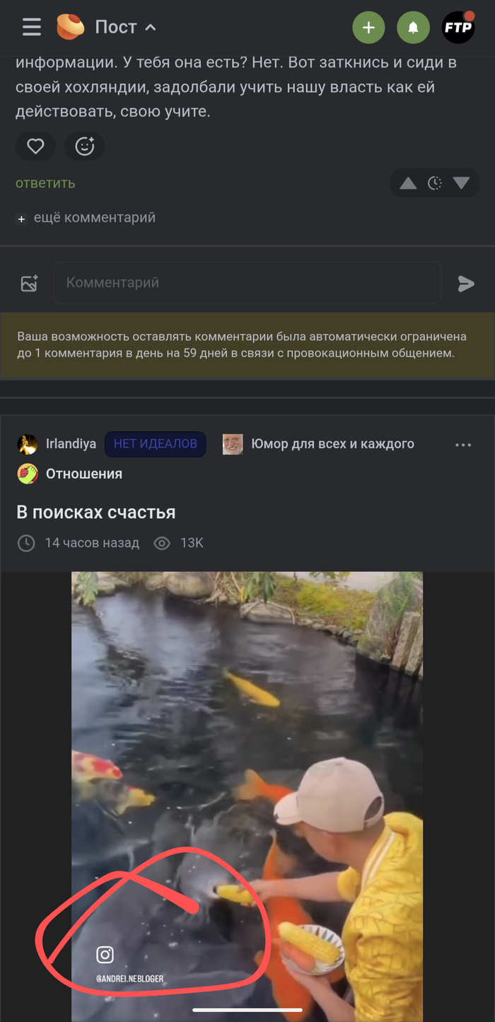 Ответ на пост «Рыхлая реакция власти, которая вызывает недоумение»