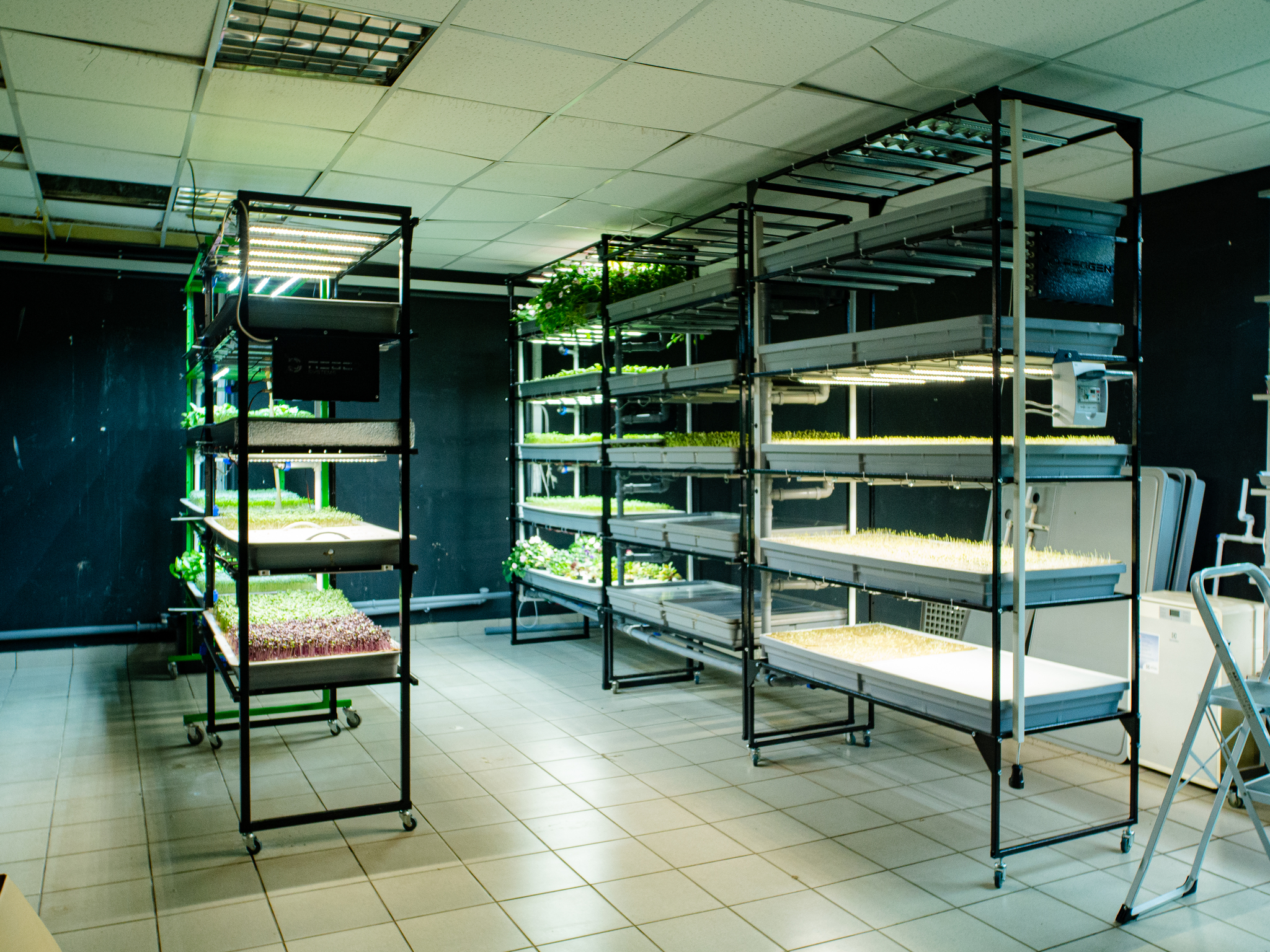 Is it possible to get a grant for a vertical farm? I'm exploring all the options. - Grants, Government support, Business, Farming, Longpost