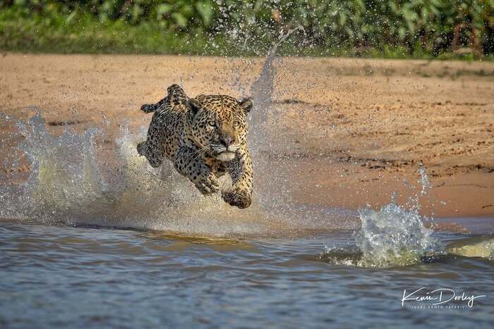 �����������������