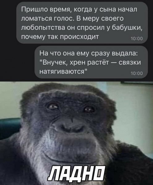 Хрен растёт