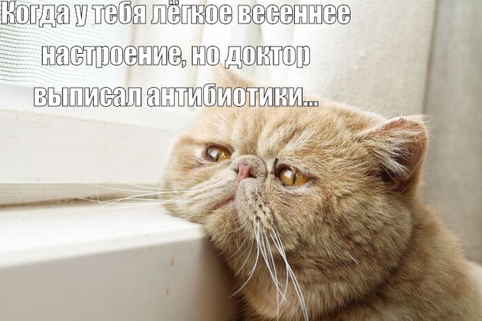 ����� ������ ������ ������ �� ���������