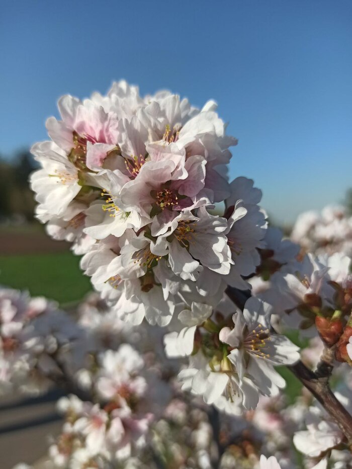 ���������� ������.