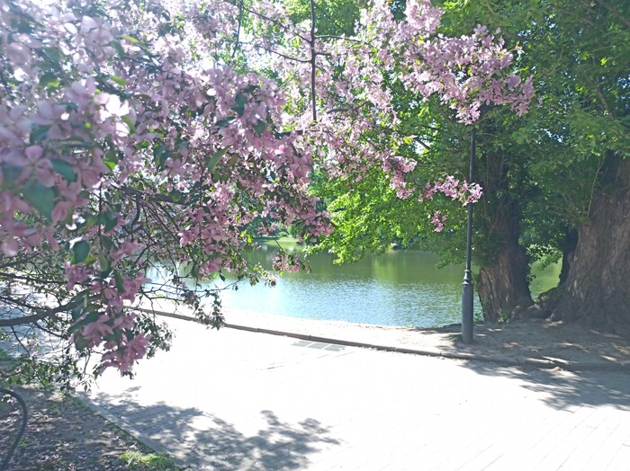 ���������� ������.