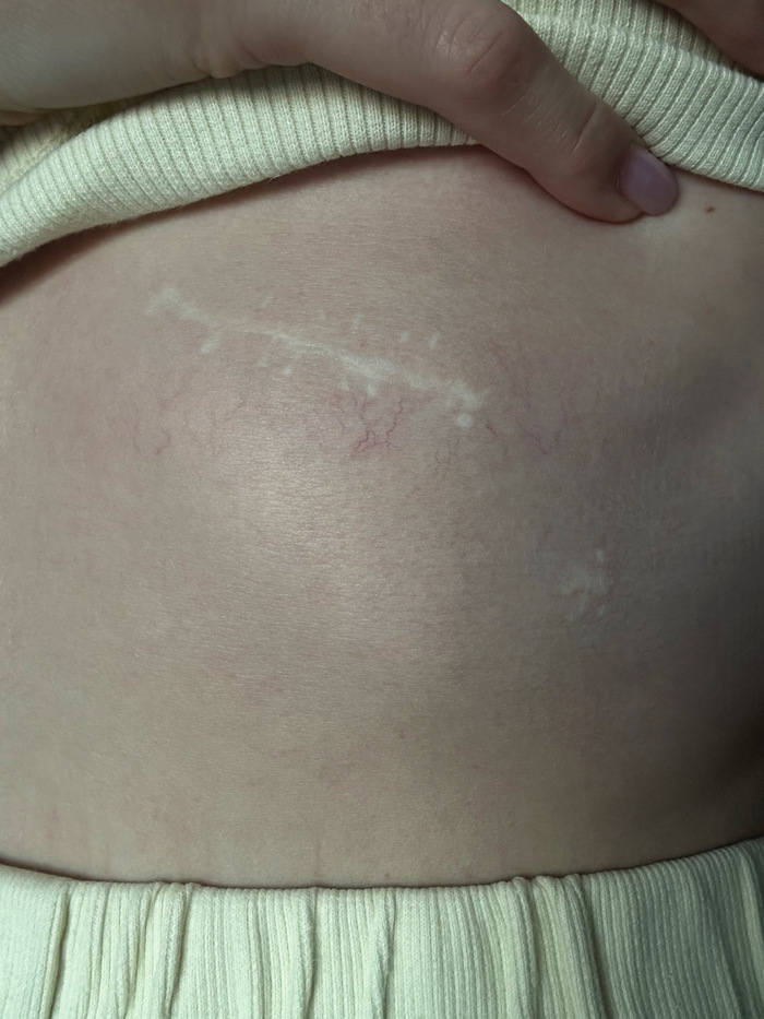 �������� 2019 ����