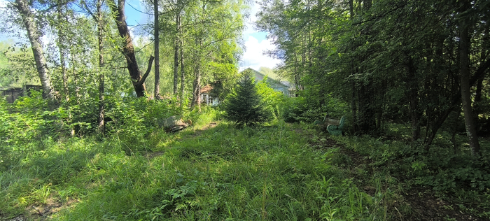 ����� �� ����� � �������� - ����� ��� �������� � ����� �� ��������.