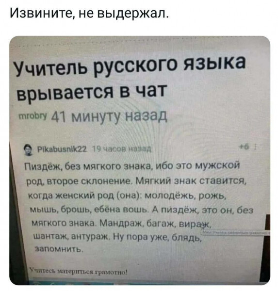 ������ ���� )