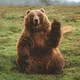 ������ ������������ Paradontiy
