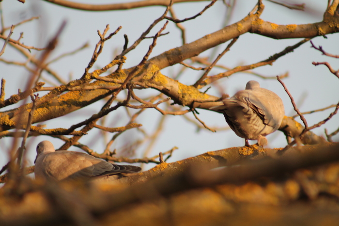 ��������������� �����