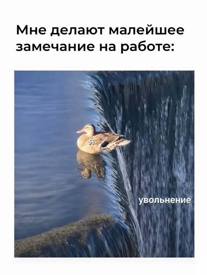 На грани