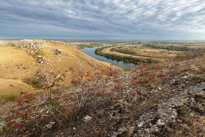 Красные ягоды над синей рекой