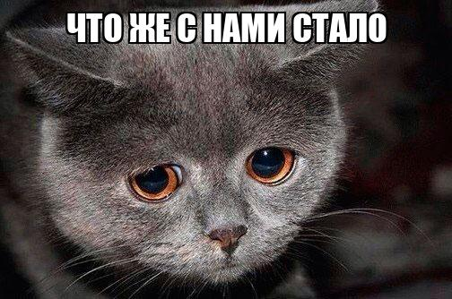 ����� �� ���� ���� ����������� ��������...�