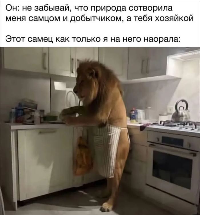 �� ������ ����