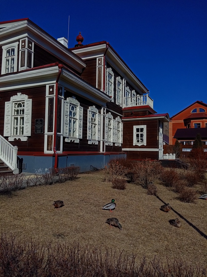 ����, ���� ����� �����