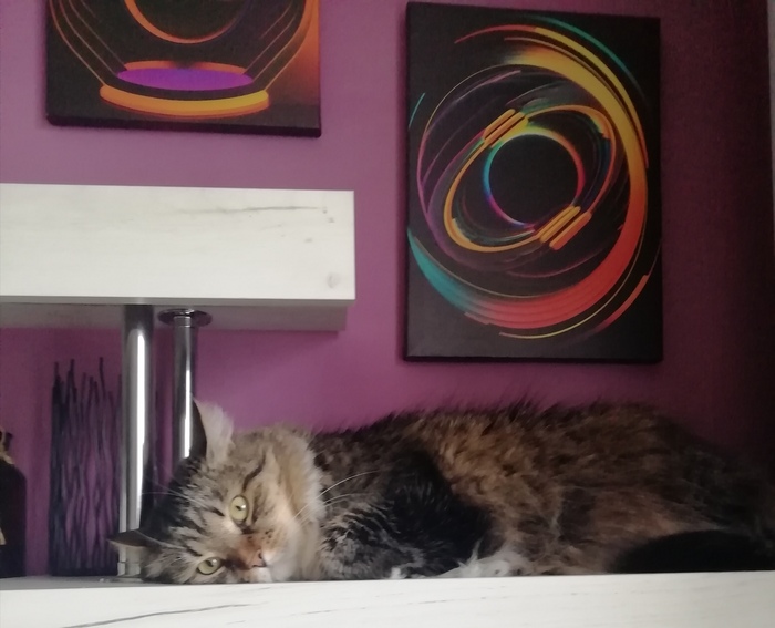 ����� ������� �� ����� � �������� �������