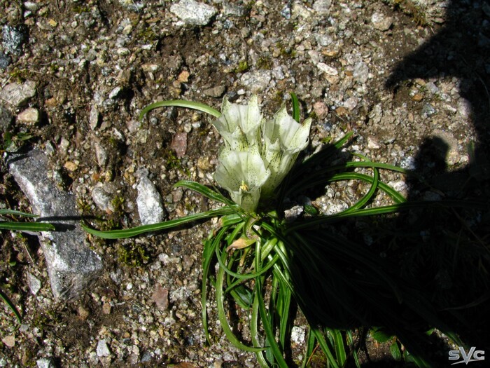 ���������, ��� �������� ����� ��� �� ������