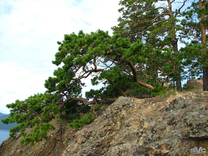 ������ ������� ������ � �������������.