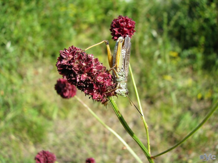 ���� � ���������