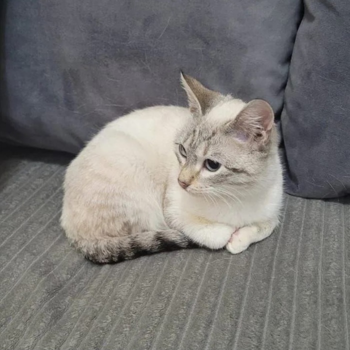 ������� ������� ������� � ������ ����! ������, �����