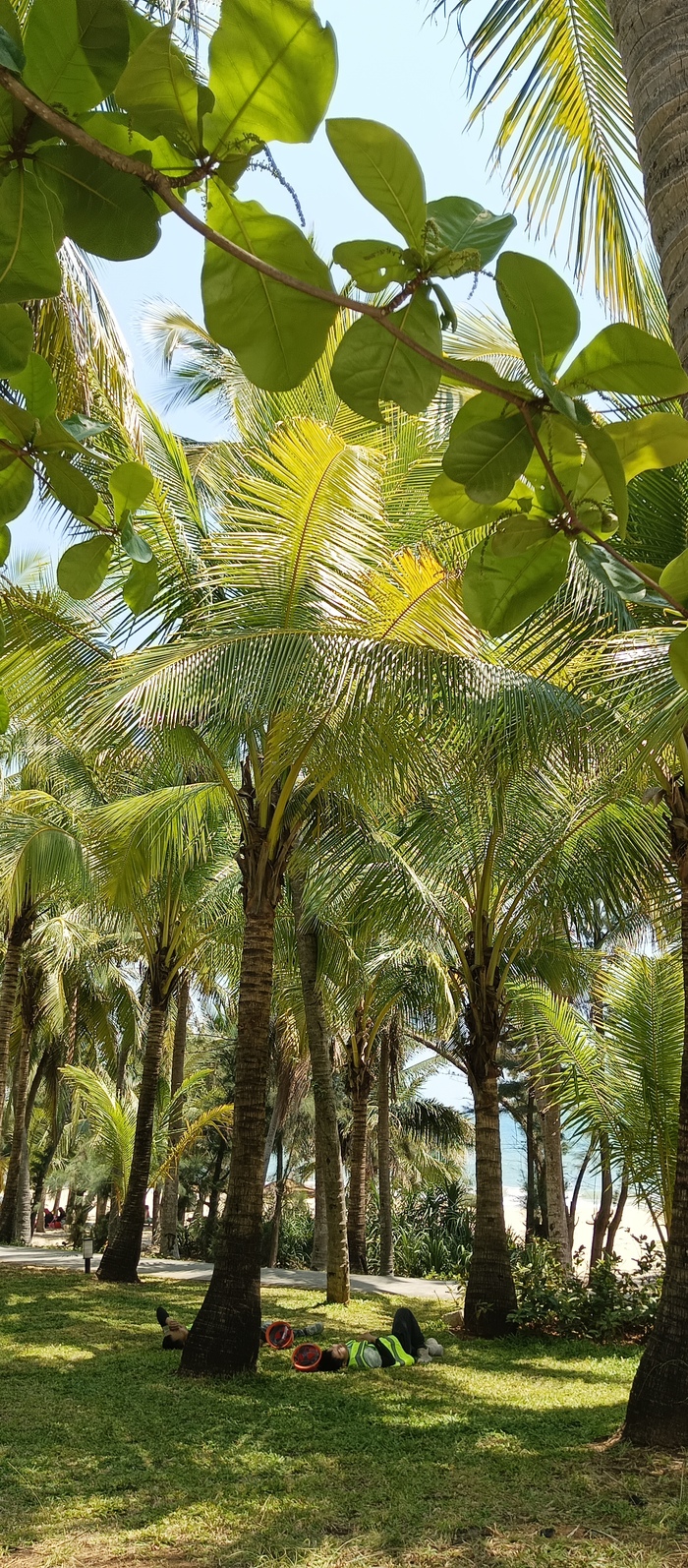 ������ � ���� �� �������...