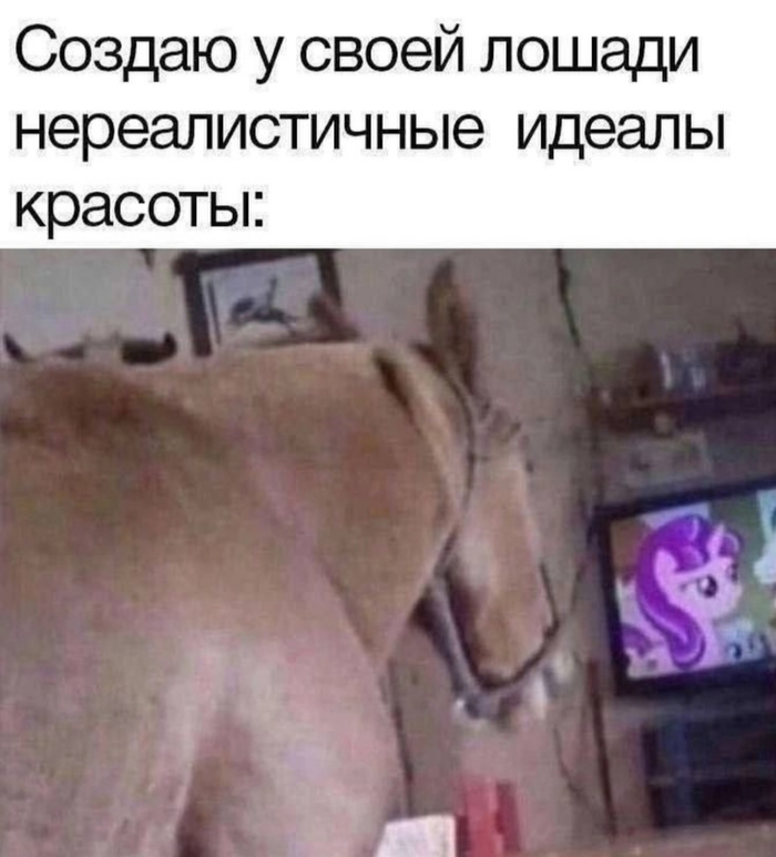 �� ������ ����