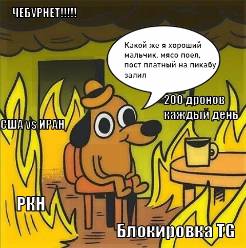 Reply to the post Meat - My, Artemy Lebedev, Meat, Reply to post
