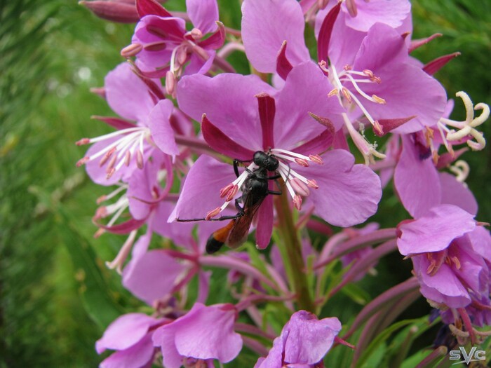 �������� �� ������