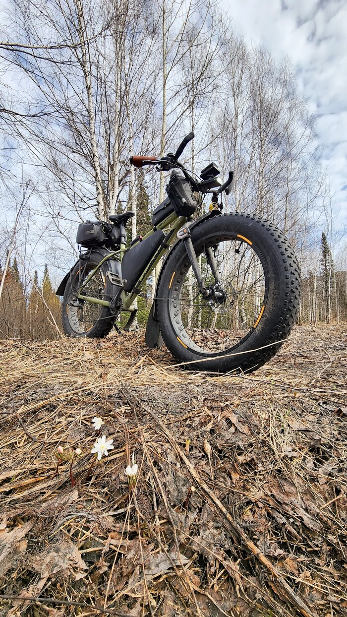 ��������� ���������