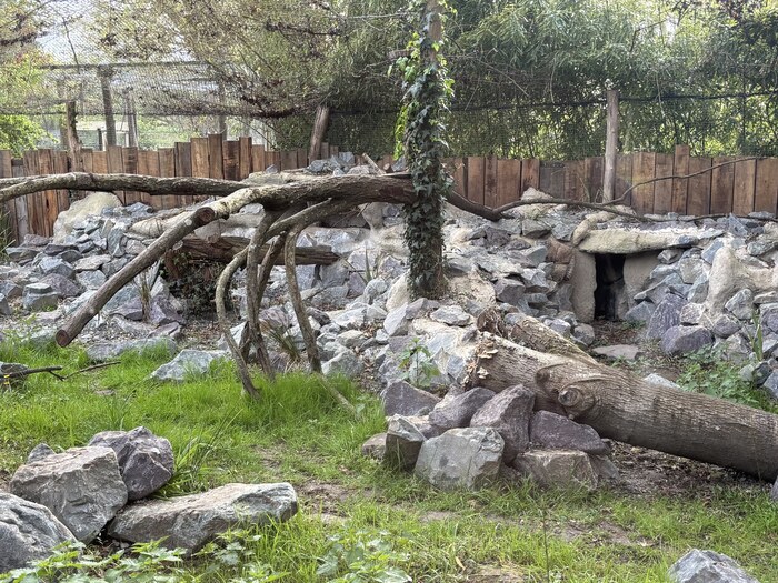 ����� ����