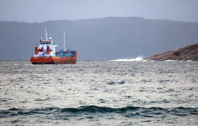 � ������� ����������/ ����