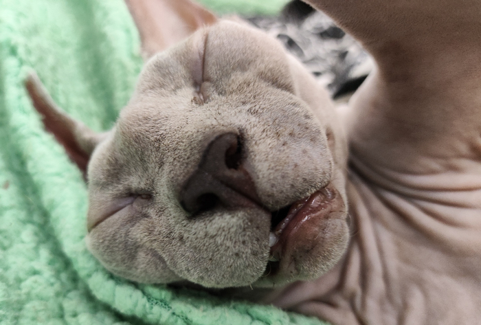 ��������� ������ �����