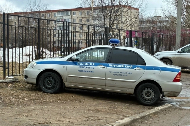 ����: ���/ ���� ��������