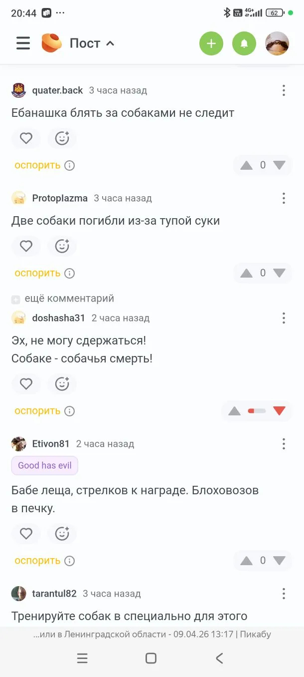 ����� �� ���� ����� ����� ������ "���������" ���������� � ������������� �������