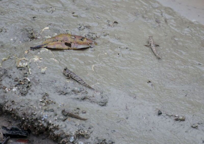 �������� �� ��������� ���������, ��� ��� ����� �� �� �����